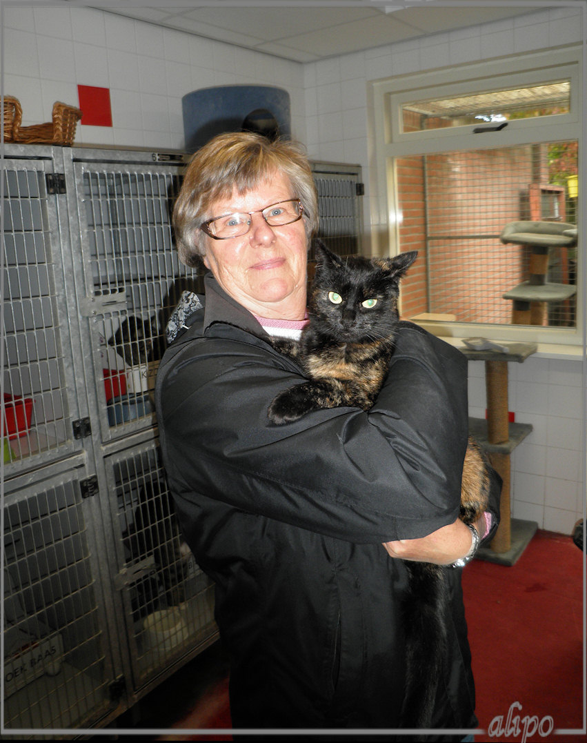 Alie haalt Izzy uit het asiel