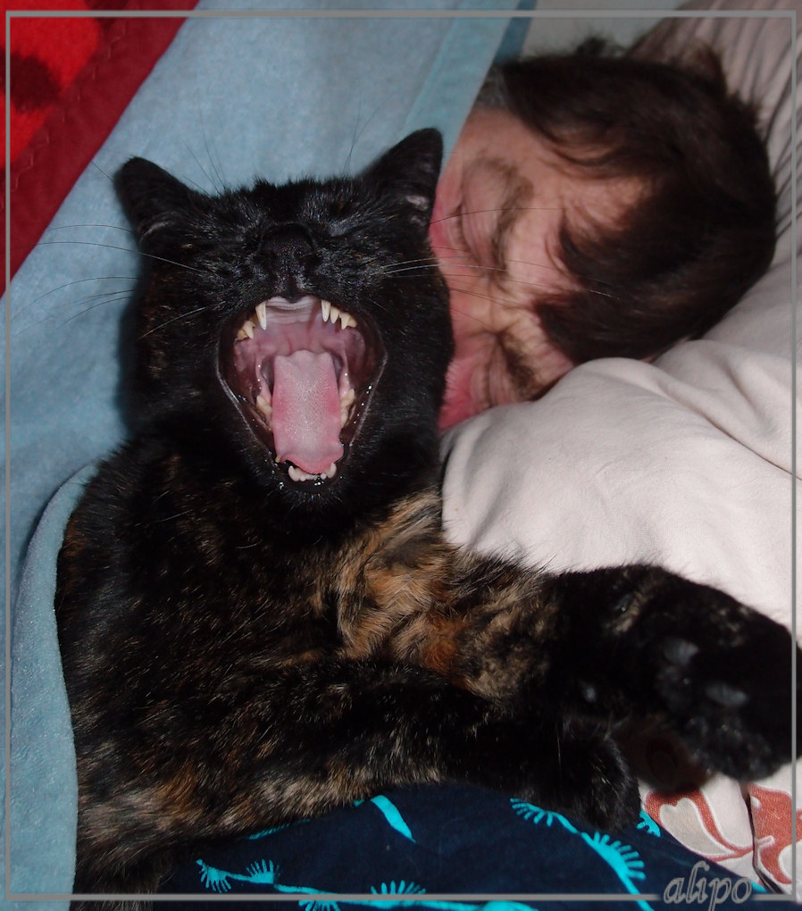 5-3-2014: twee slapenkoppen