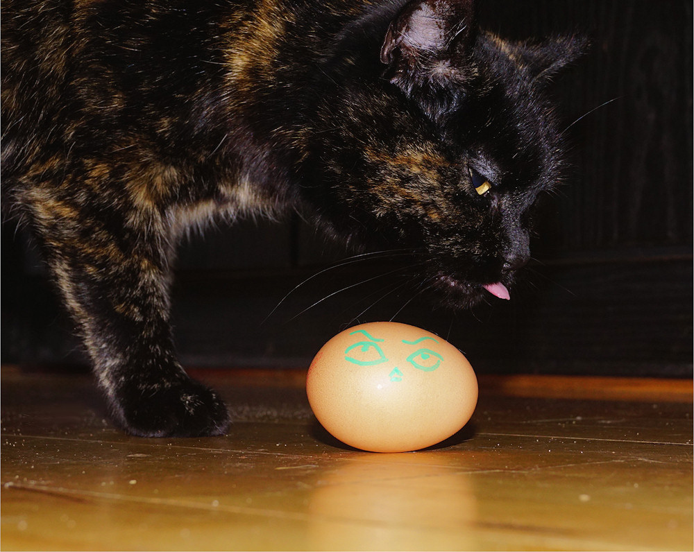 16-4-2017: Ik denk dat ze ei niet zo lekker vindt