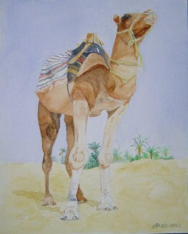 aquarel, 4-2-2002, kameel 24x30 cm