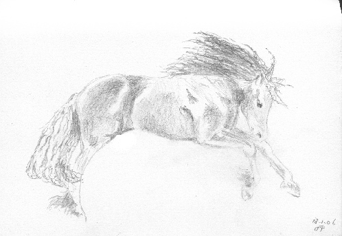 potlood, 18-1-2006, tekening Fries paard, 24x17 cm
