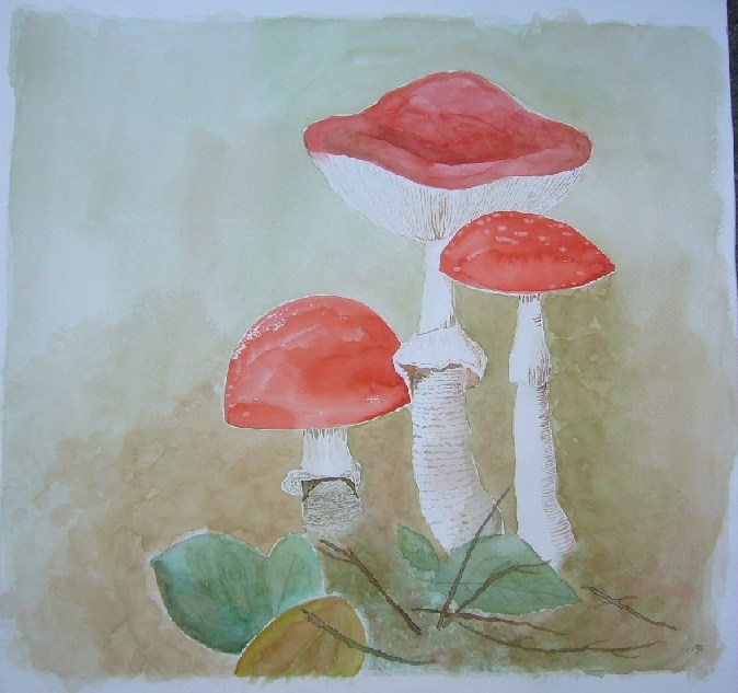 11-10-2006, aquarel_paddenstoelen, 45x49 cm